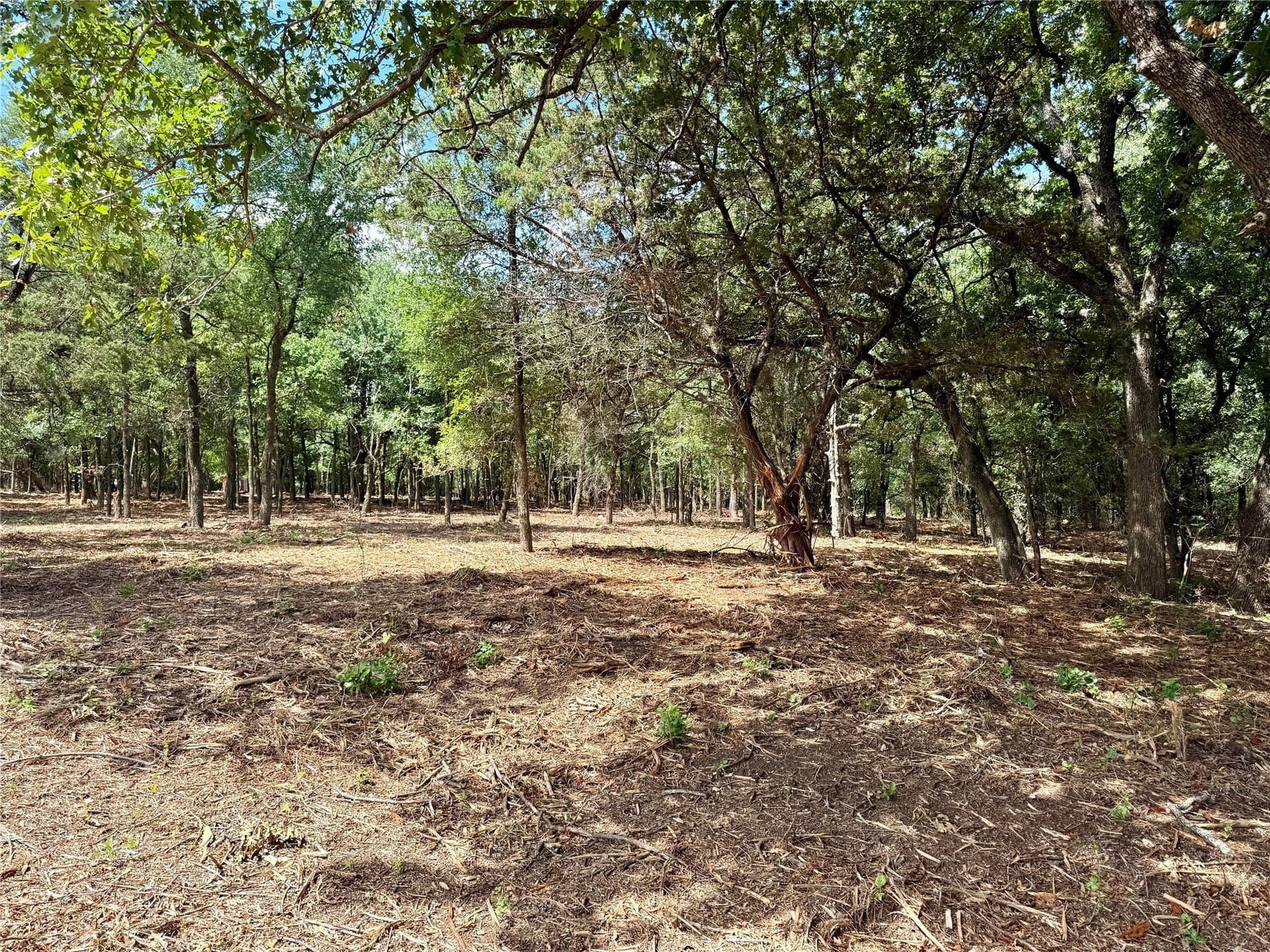 10 acres in Hill County - photo 18