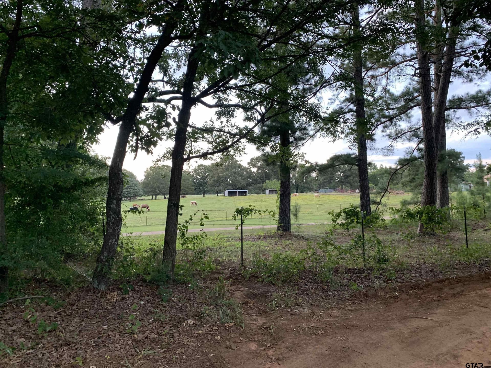 12 acres in Wood County - photo 35