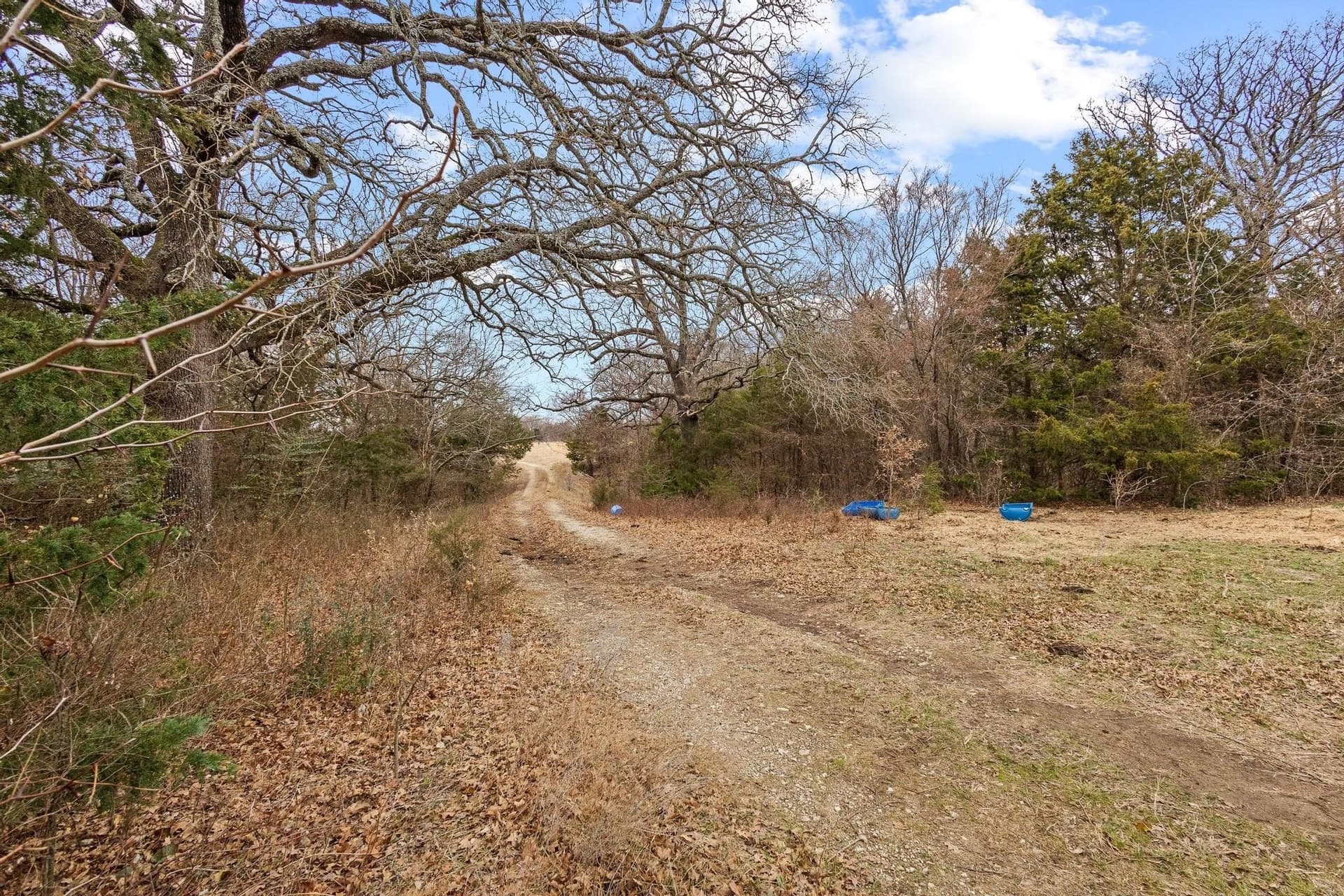 99 acres in Grayson County - photo 5