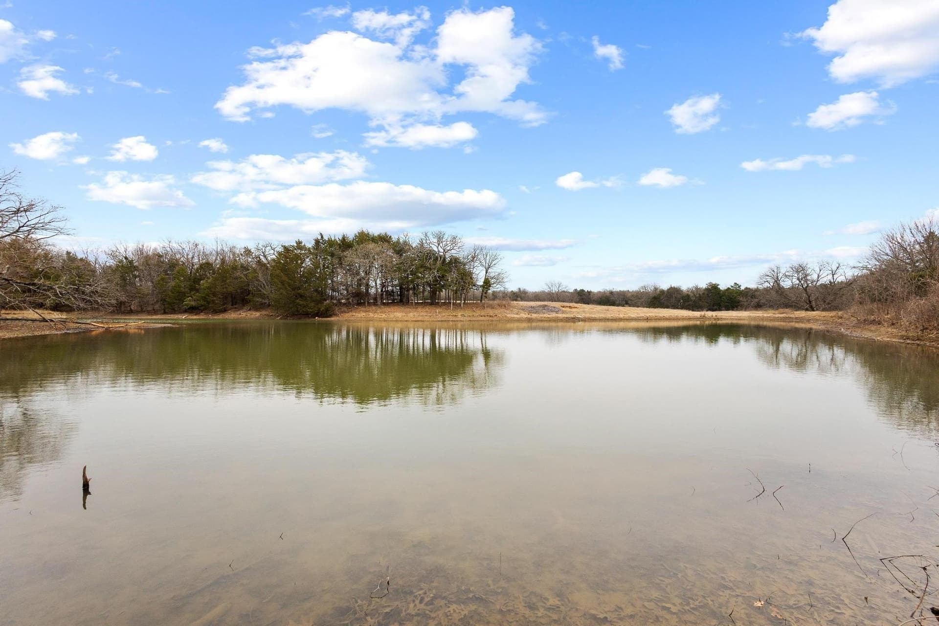 99 acres in Grayson County - photo 34