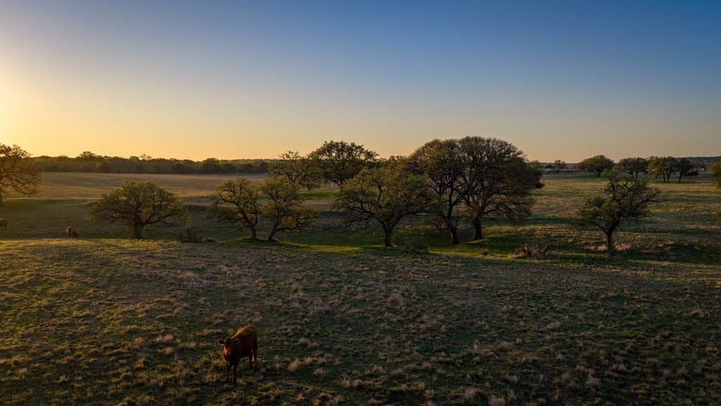 247 acres in Menard County gallery image 3
