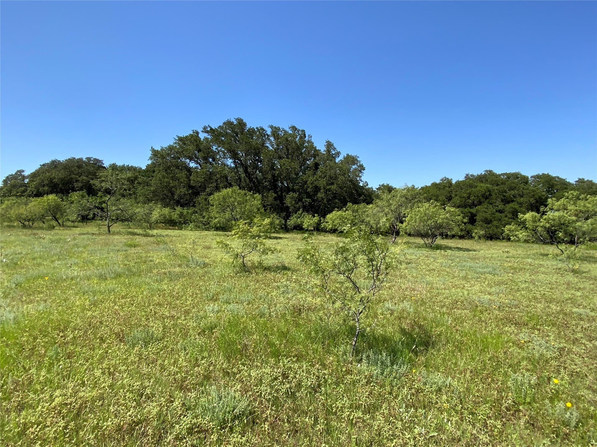 199.01 acres in Comanche County - photo 6