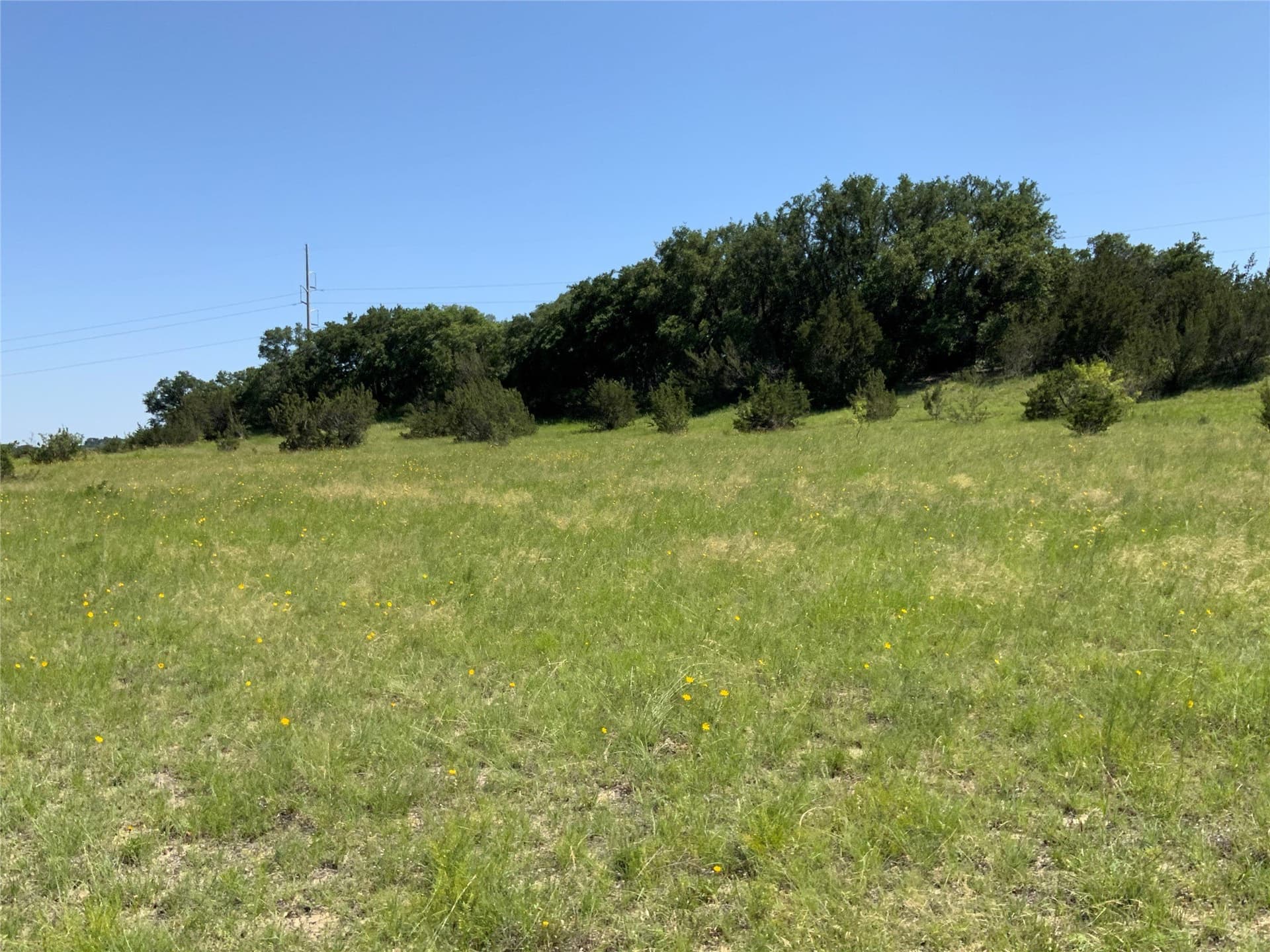 199.01 acres in Comanche County - photo 29
