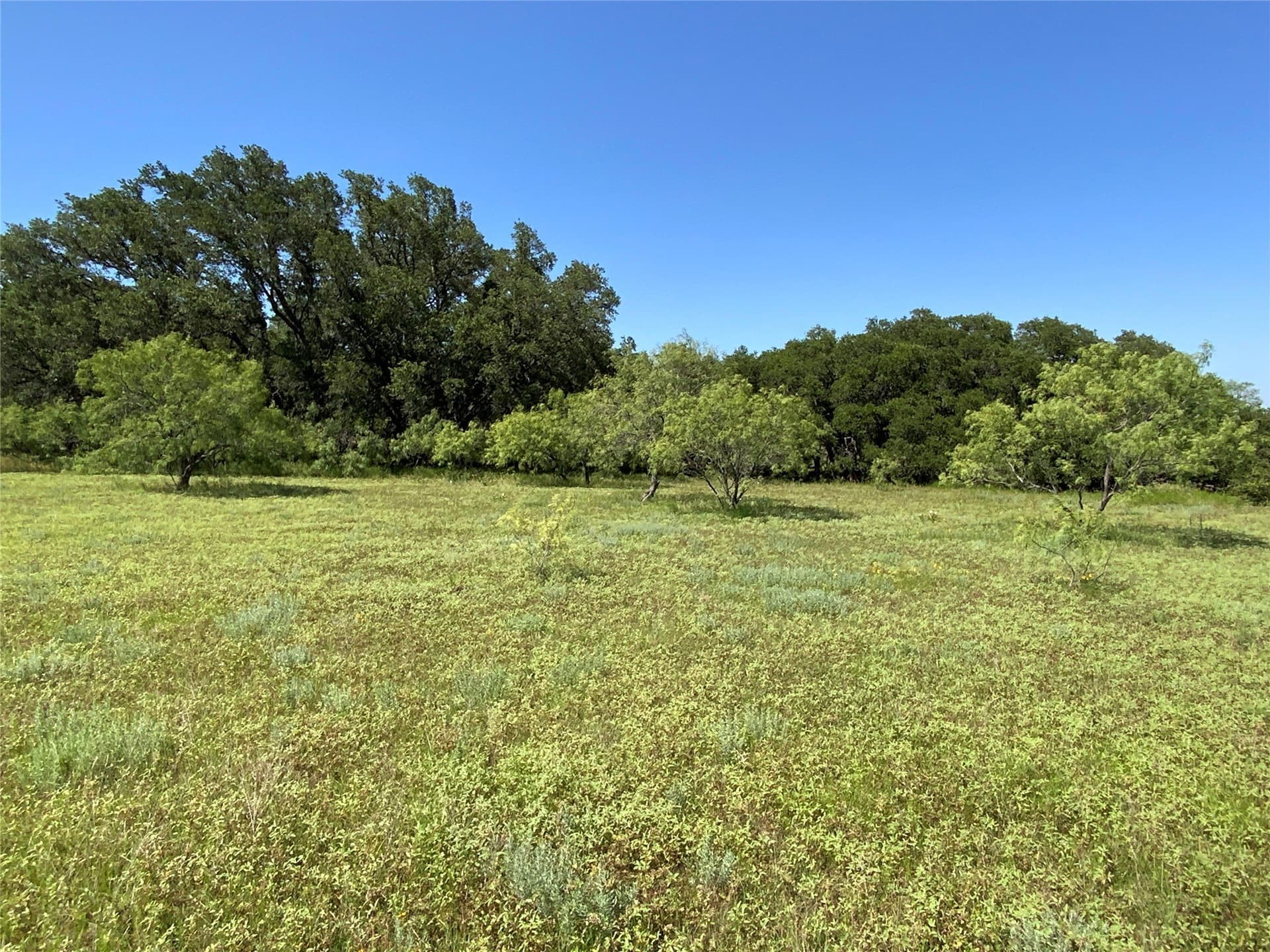 199.01 acres in Comanche County - photo 27