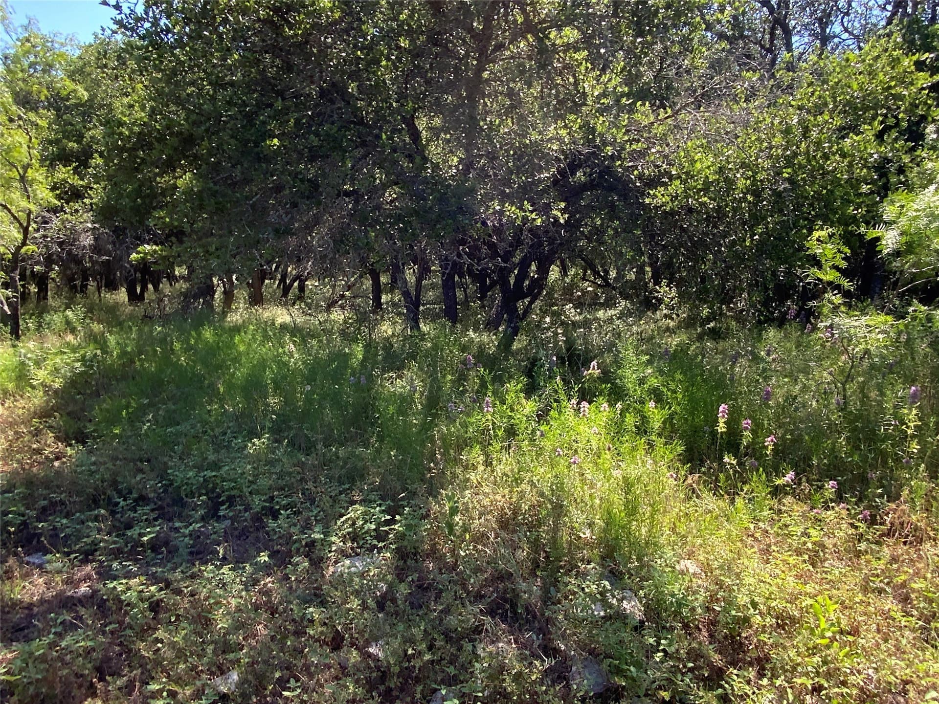 199.01 acres in Comanche County - photo 28