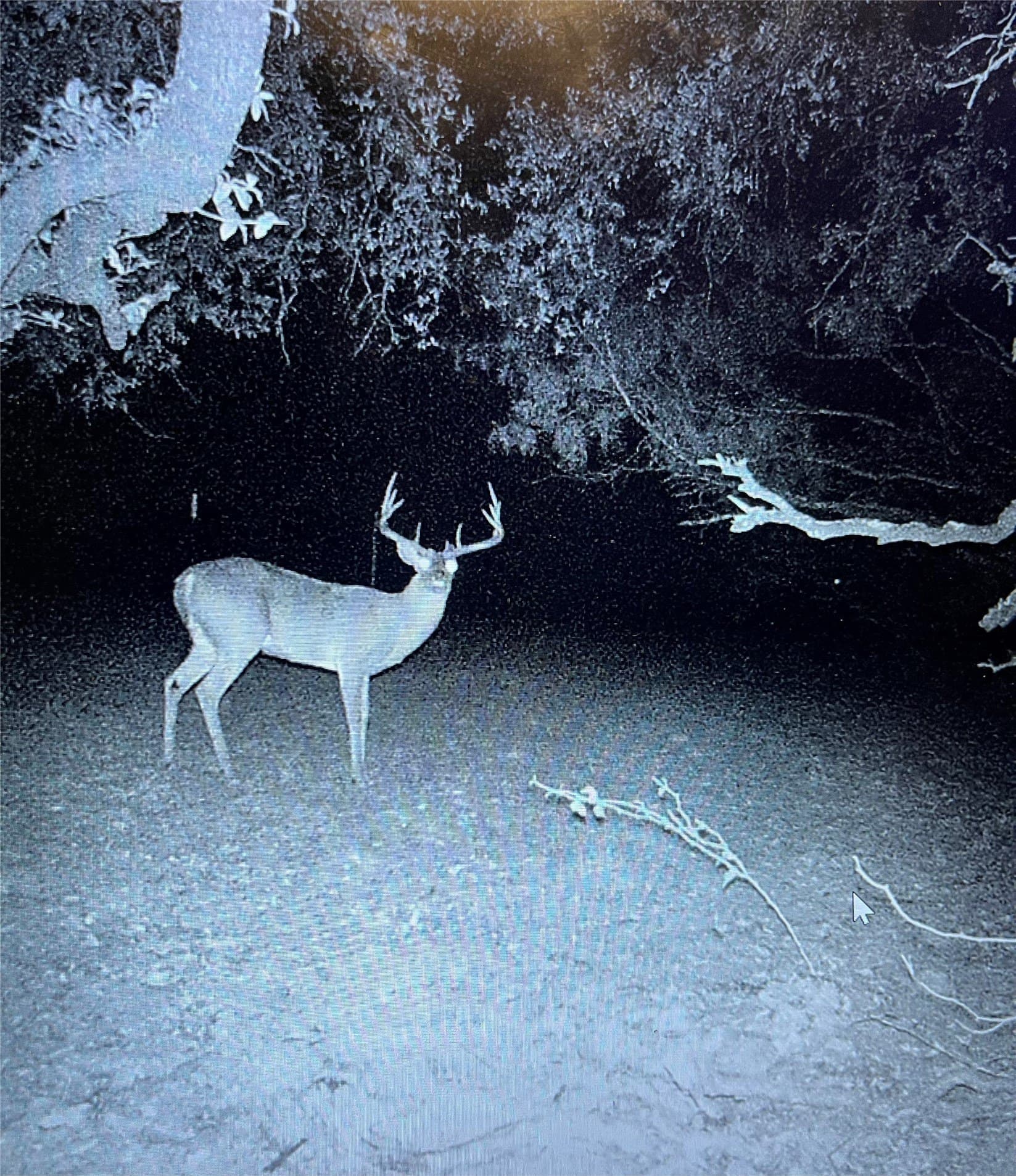 199.01 acres in Comanche County - photo 7