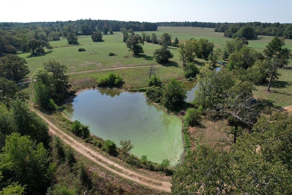52.9 acres in Texas County gallery image 3