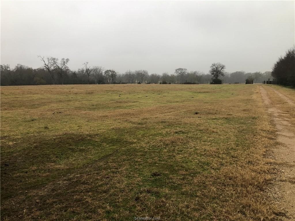 84.09 acres in Brazos County gallery image 4