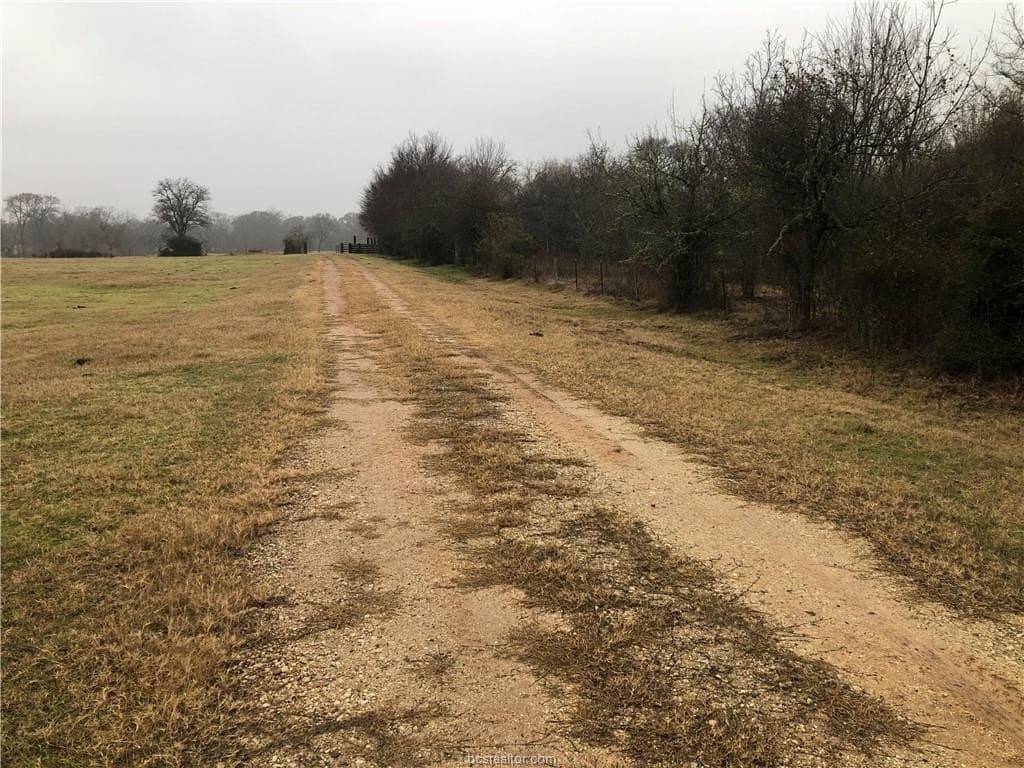 84.09 acres in Brazos County gallery image 3
