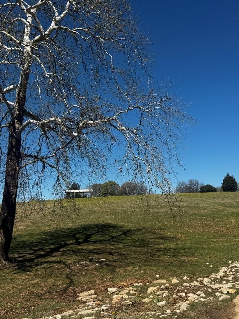 50.03 acres in Henderson County featured view