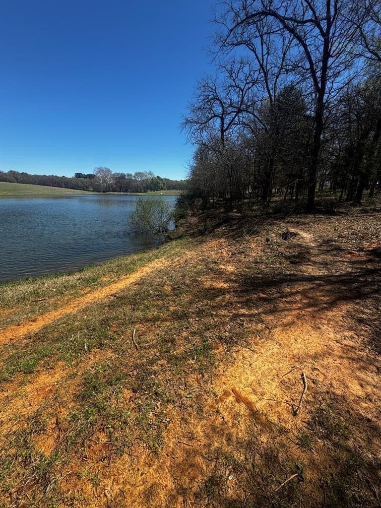 50.03 acres in Henderson County gallery image 2