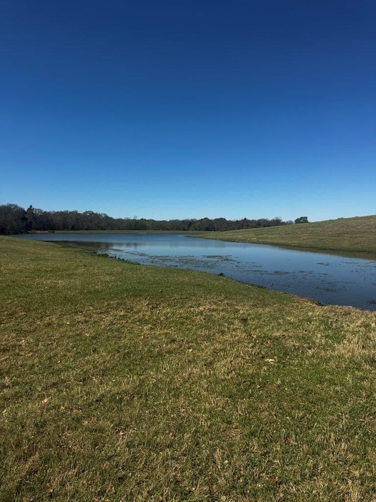 50.03 acres in Henderson County gallery image 4