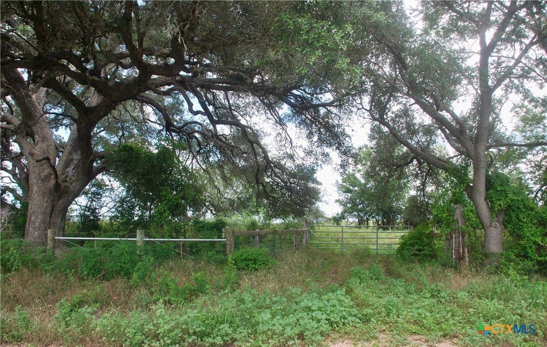 45.26 acres in Lavaca County gallery image 3