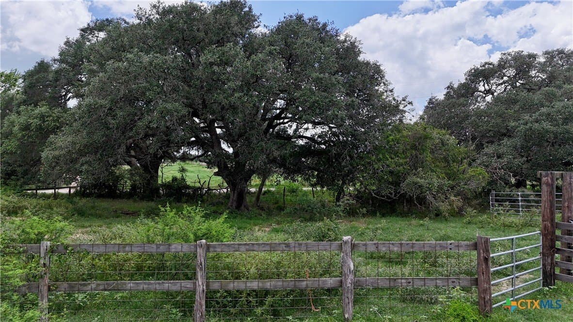 45.26 acres in Lavaca County gallery image 4