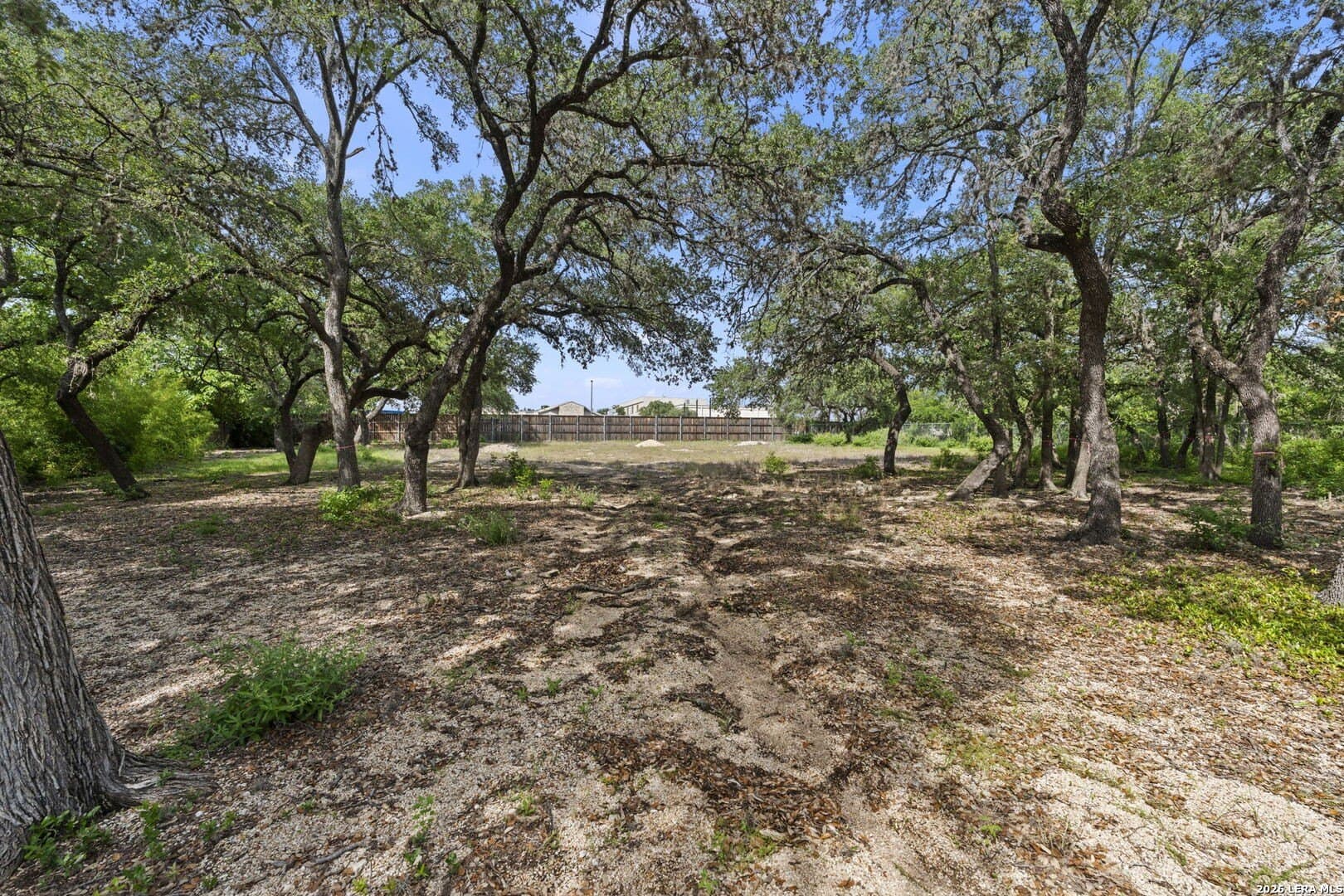 1.15 acres in Bexar County gallery image 3
