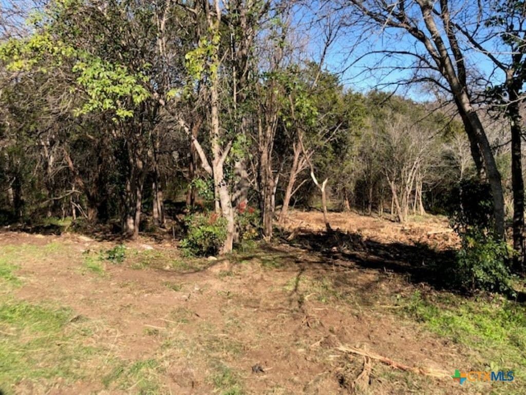 0.18 acres in Bosque County - photo 6