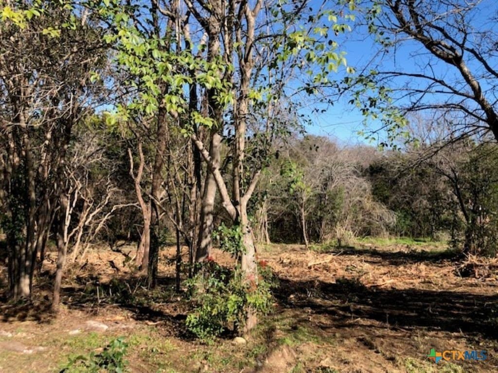 0.18 acres in Bosque County featured view