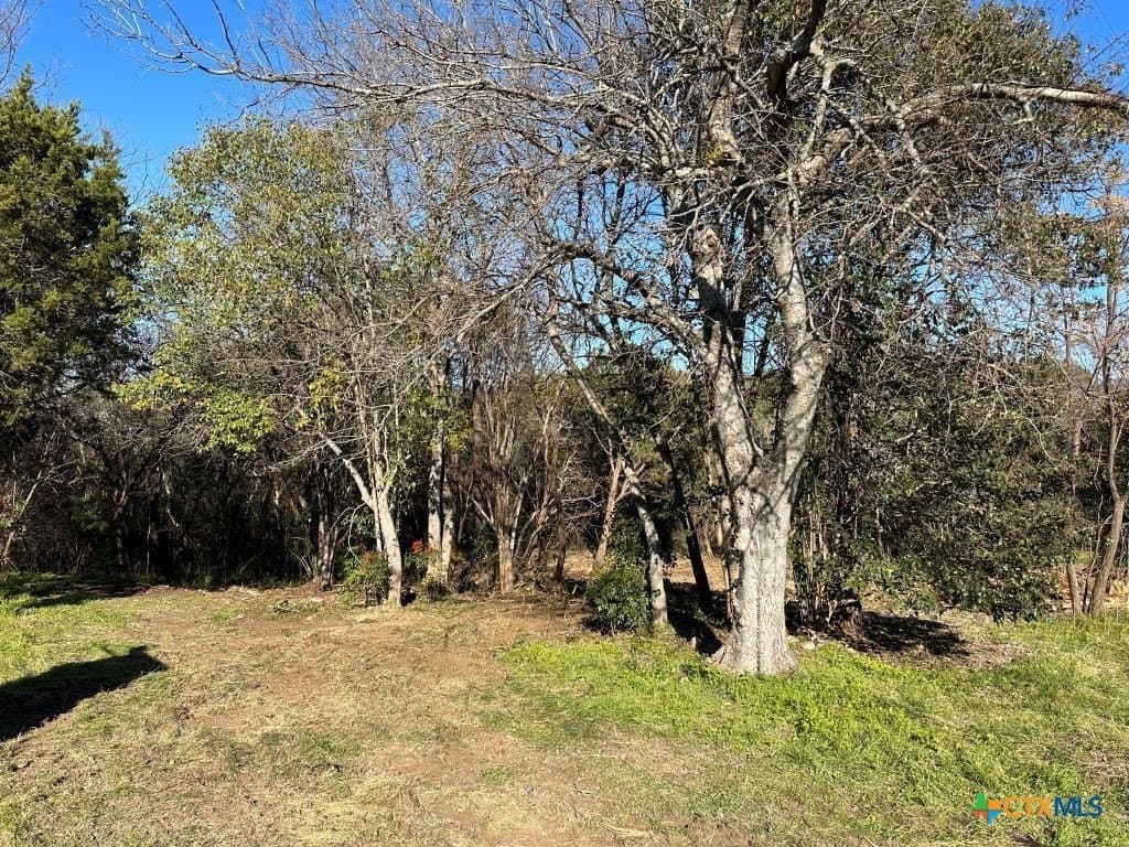 0.18 acres in Bosque County gallery image 4