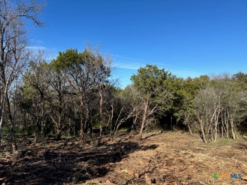 0.18 acres in Bosque County - photo 7