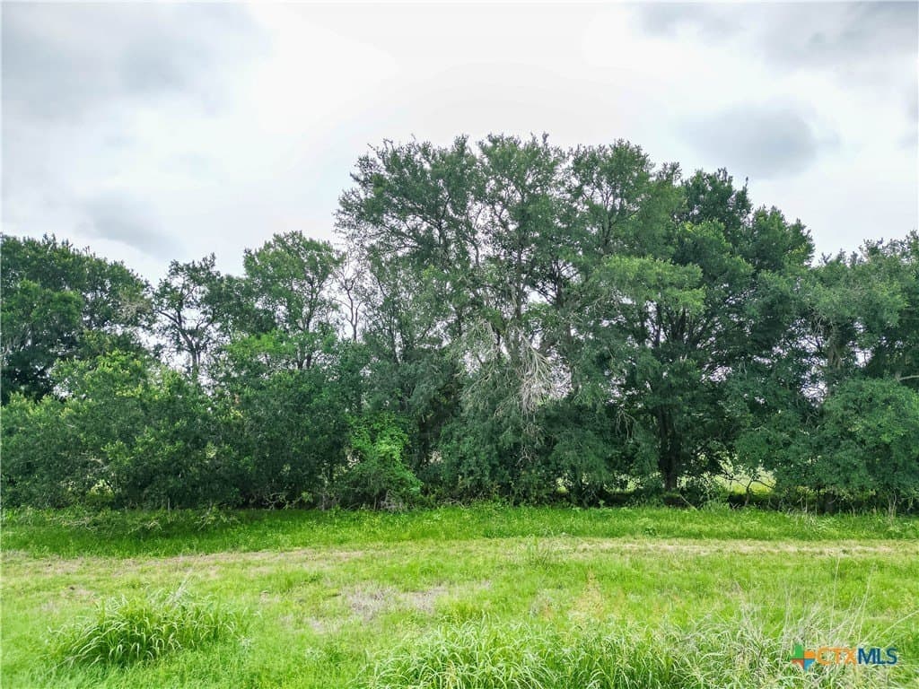 69.48 acres in Caldwell County - photo 9