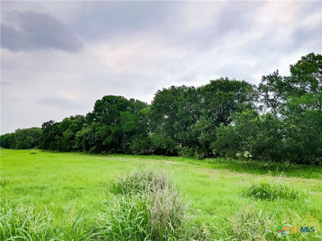 69.48 acres in Caldwell County - photo 6