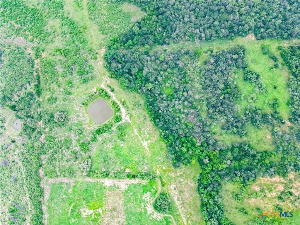 69.48 acres in Caldwell County - photo 12