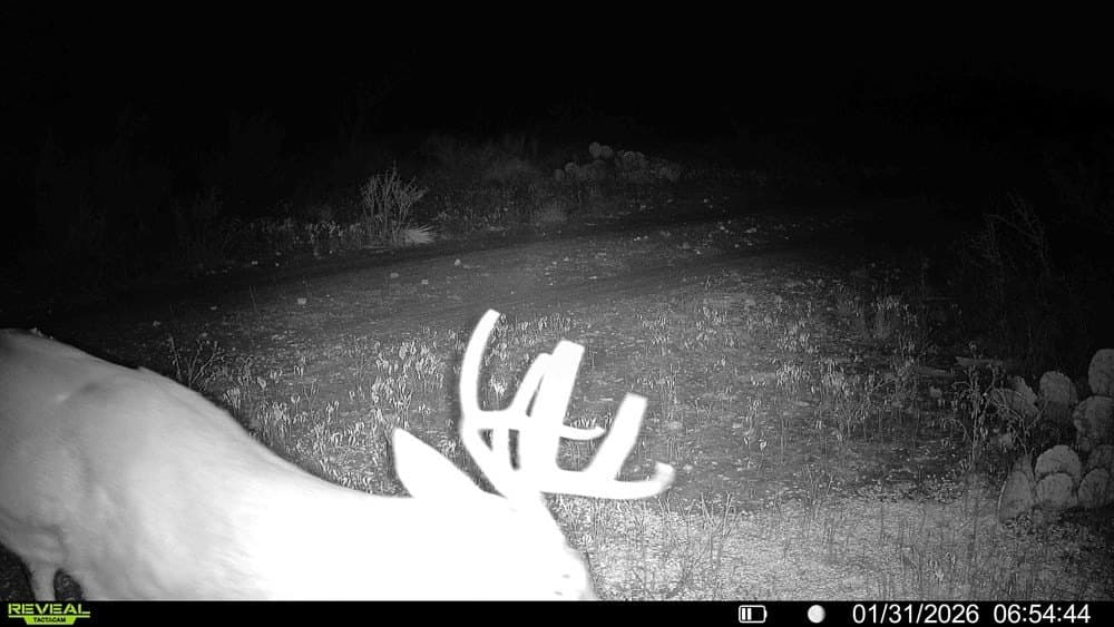 50 acres in McCulloch County - photo 25