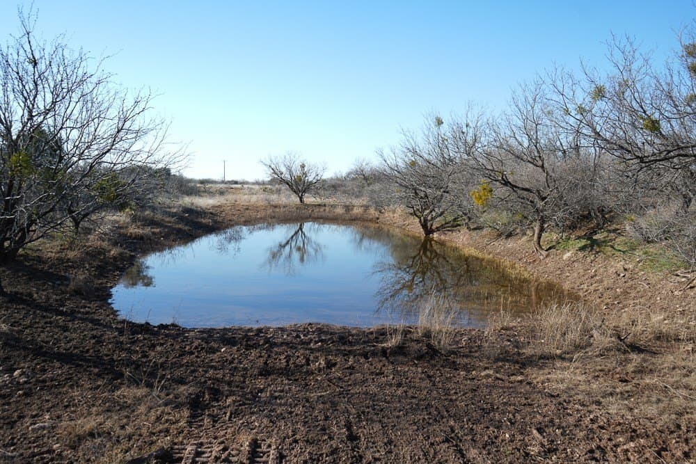 50 acres in McCulloch County - photo 18