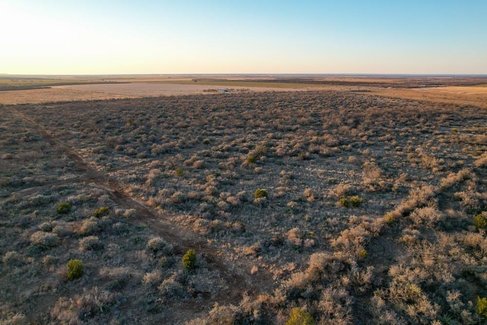 50 acres in McCulloch County - photo 10