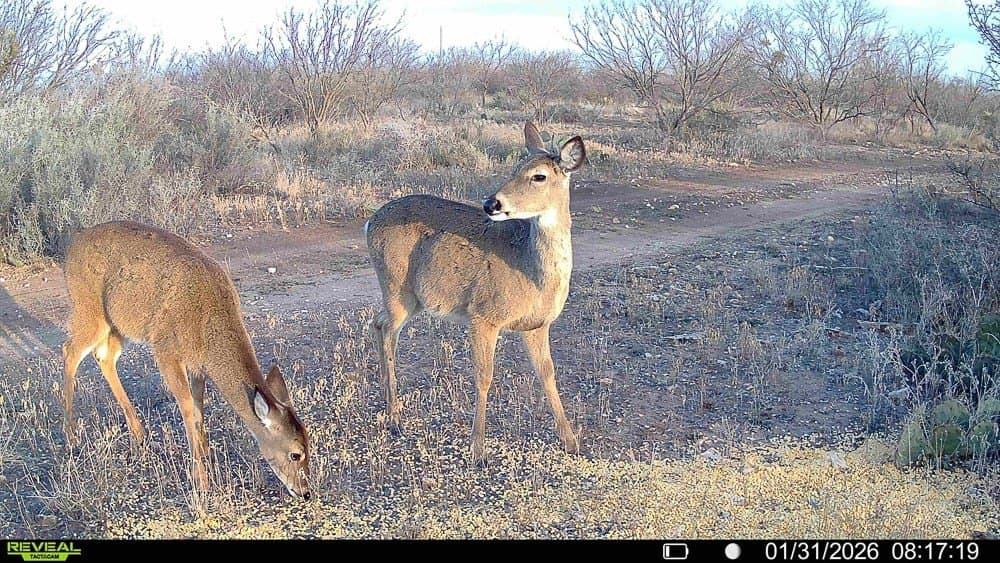 50 acres in McCulloch County - photo 24