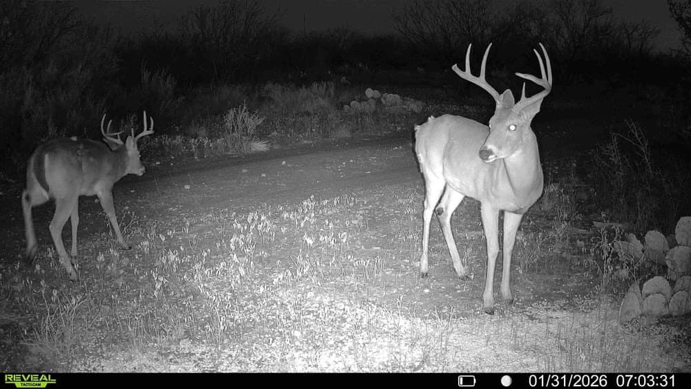 50 acres in McCulloch County - photo 28