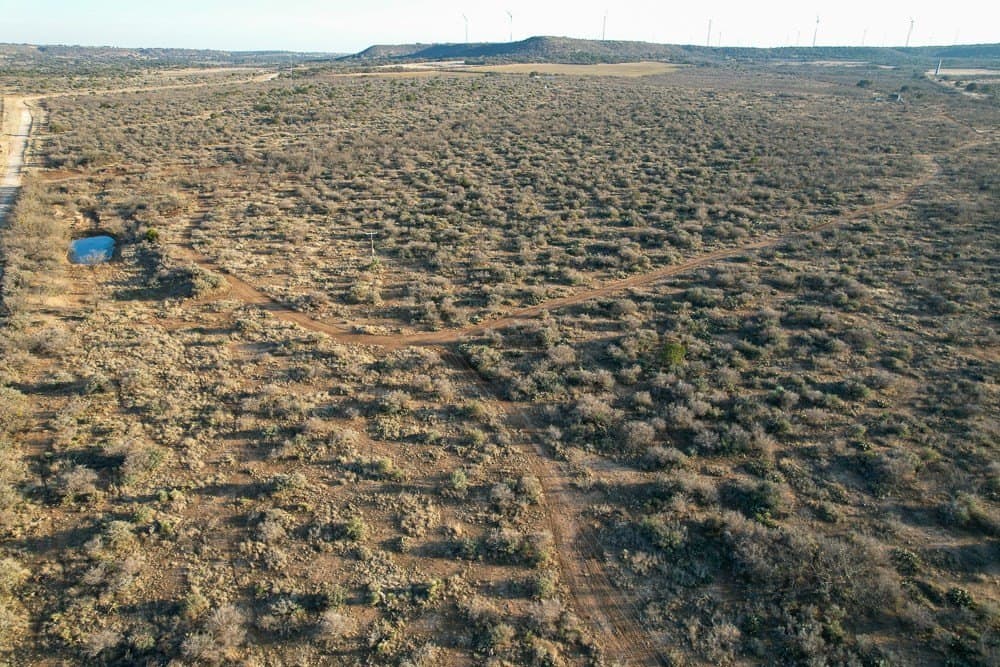 50 acres in McCulloch County - photo 3