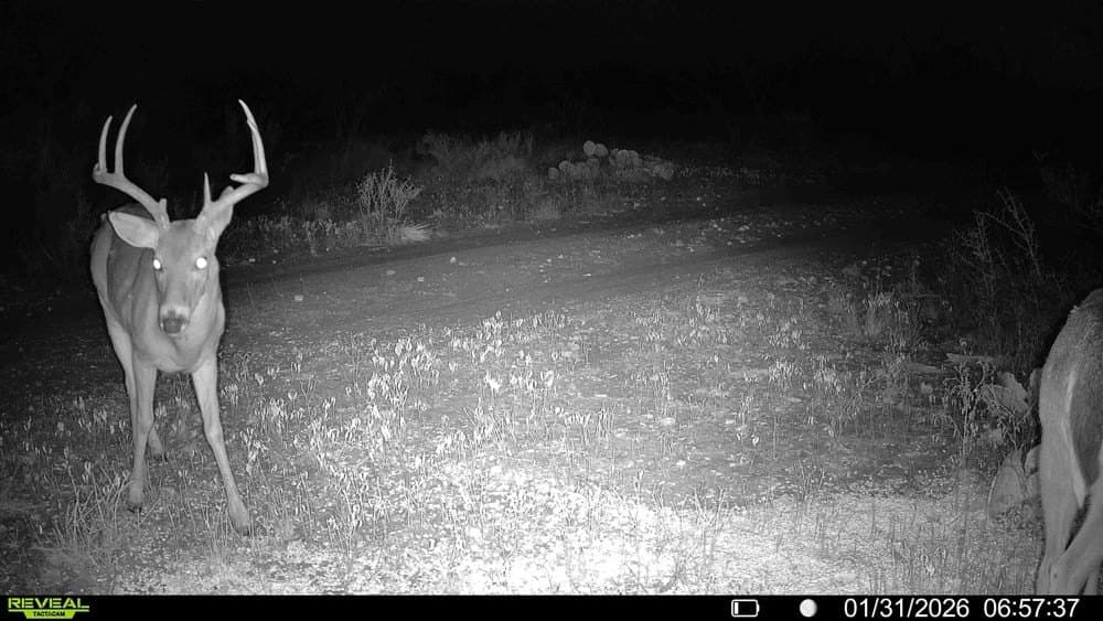 50 acres in McCulloch County - photo 27