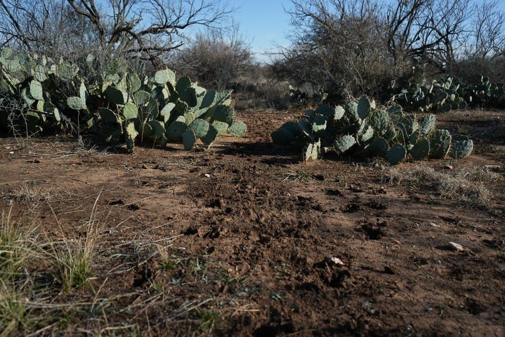 50 acres in McCulloch County - photo 20