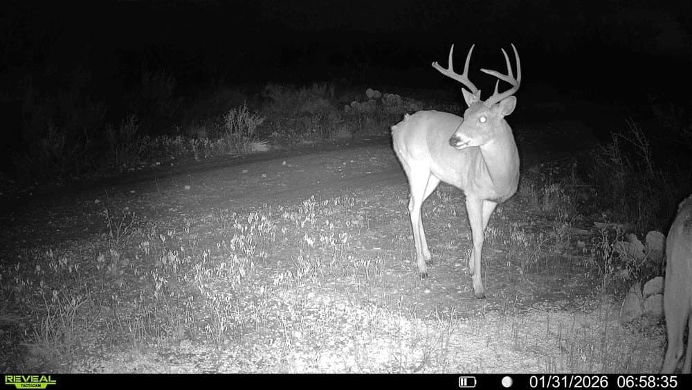 50 acres in McCulloch County - photo 26
