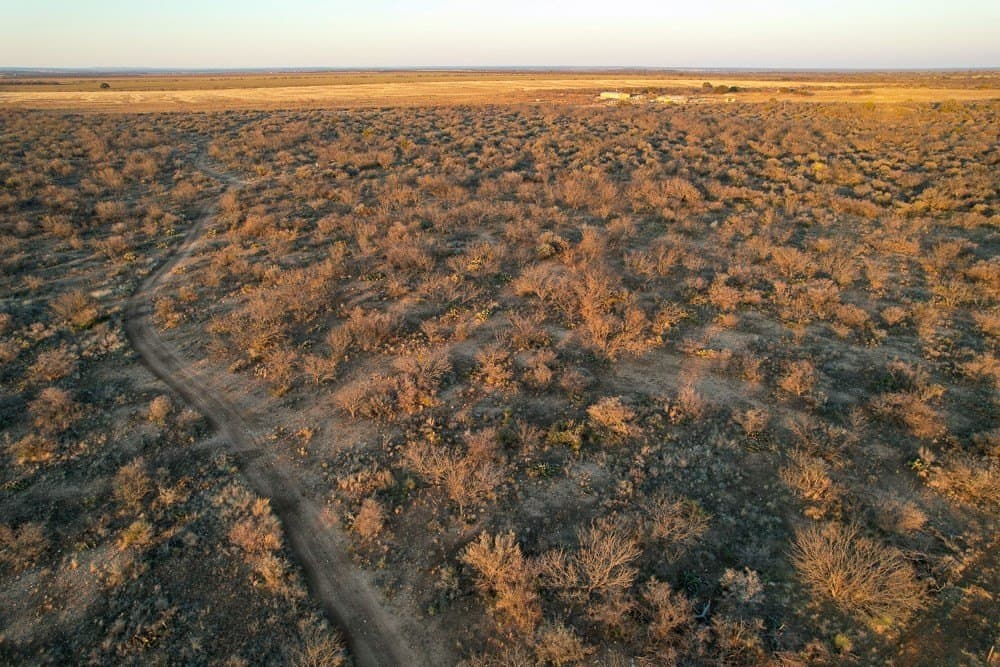 50 acres in McCulloch County - photo 5