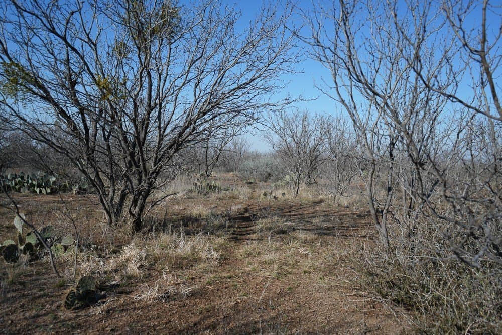 50 acres in McCulloch County - photo 22