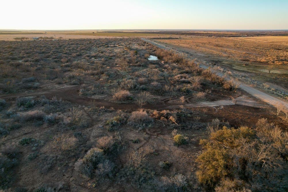 50 acres in McCulloch County - photo 7