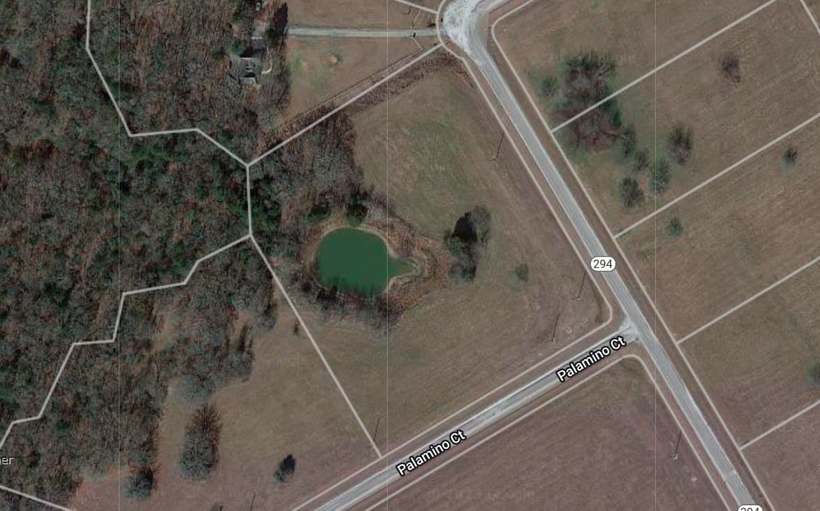 5.01 acres in Navarro County gallery image 2