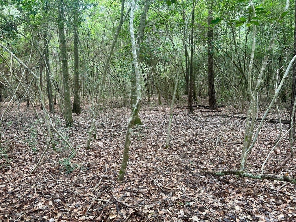 0.76 acres in Texas County featured view