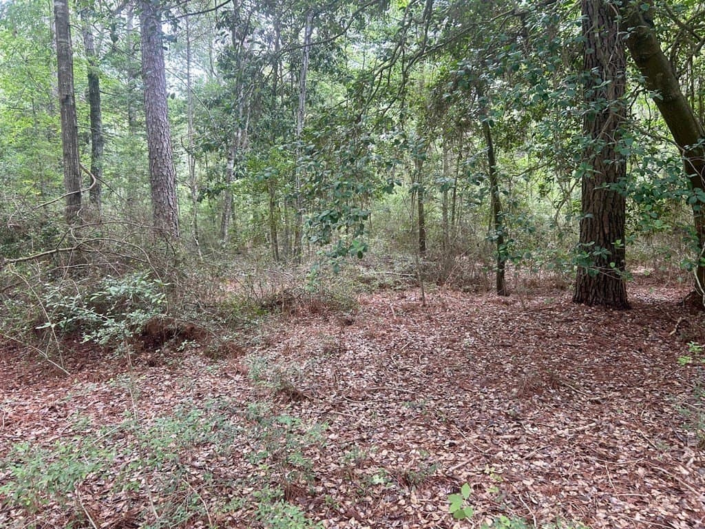 0.76 acres in Texas County gallery image 4