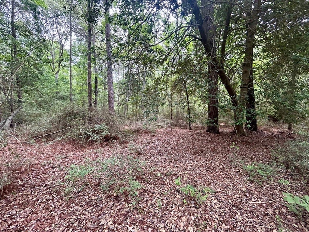 0.76 acres in Texas County gallery image 3