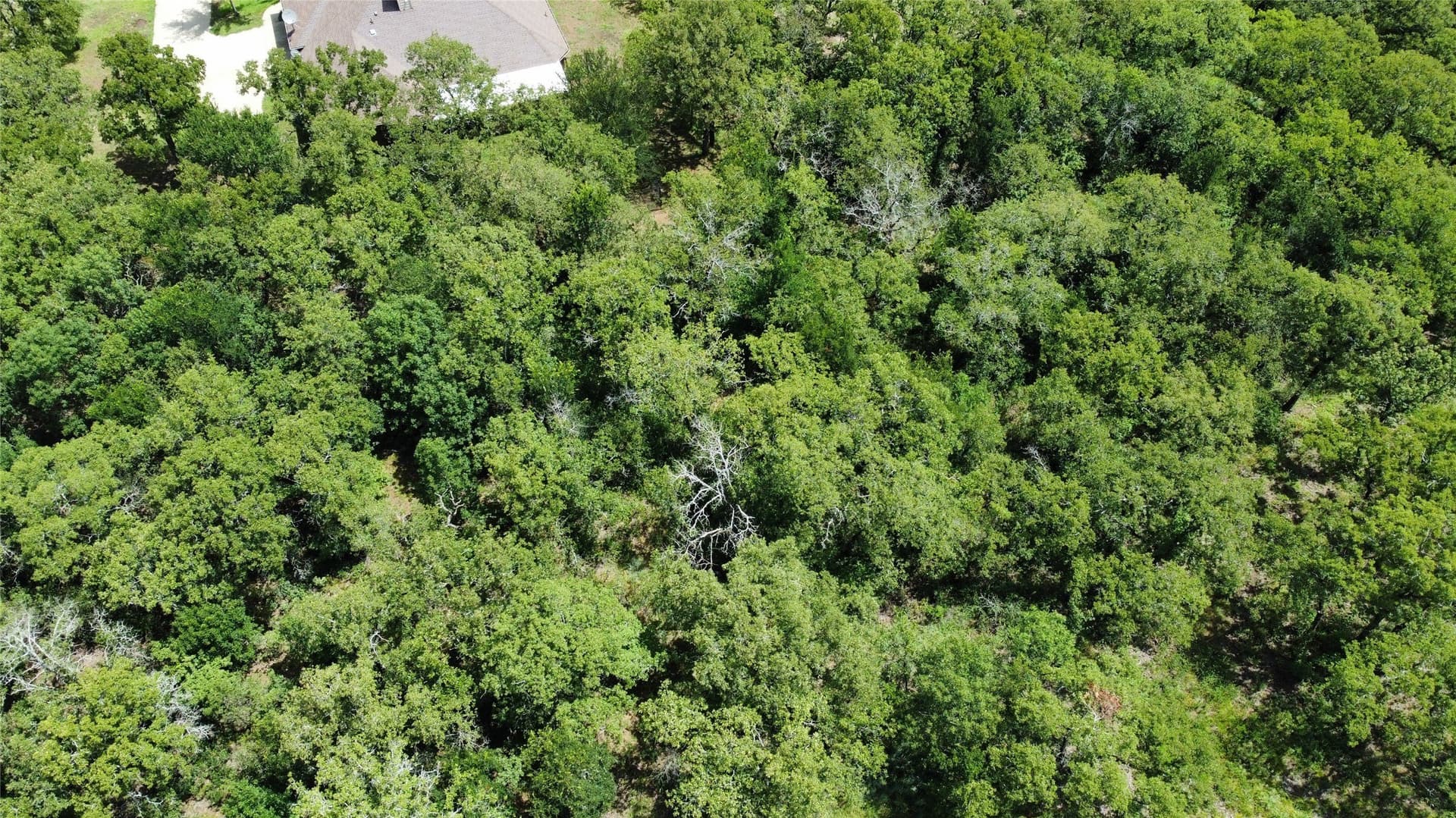 0.37 acres in Wise County gallery image 4