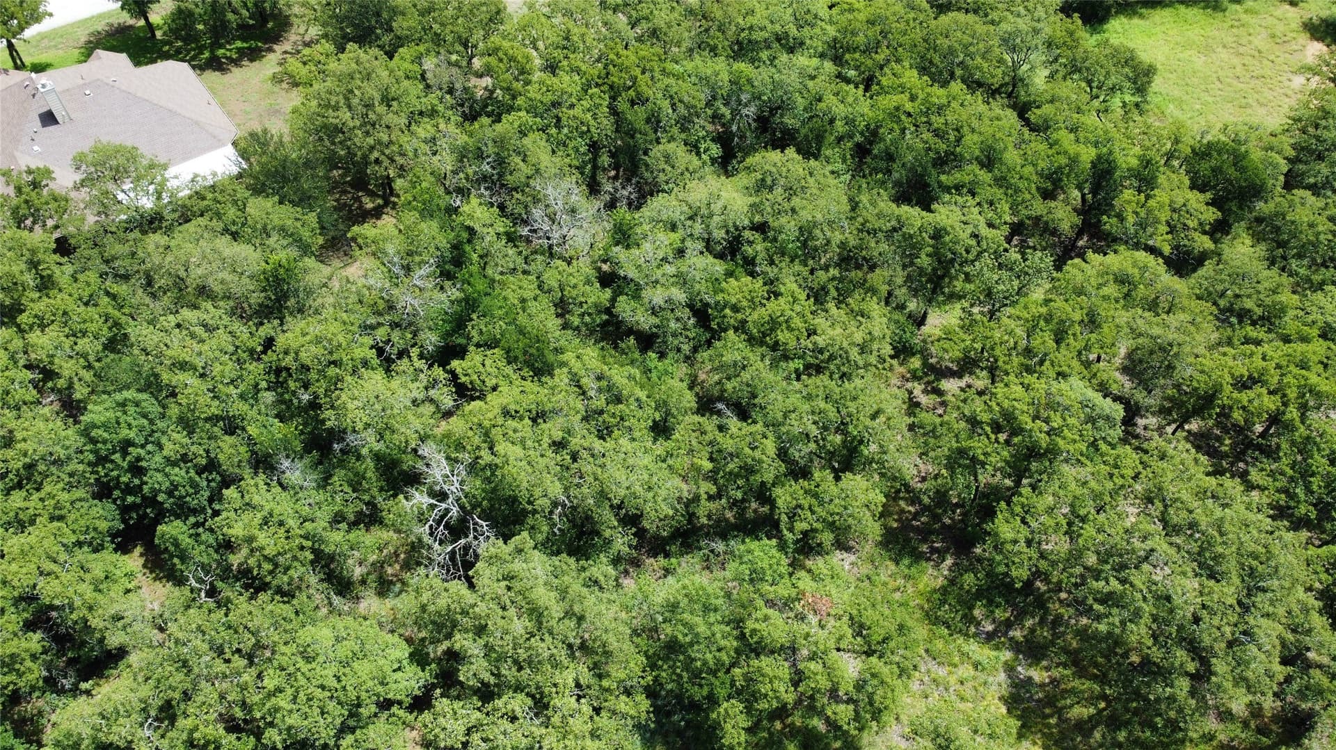 0.37 acres in Wise County - photo 6