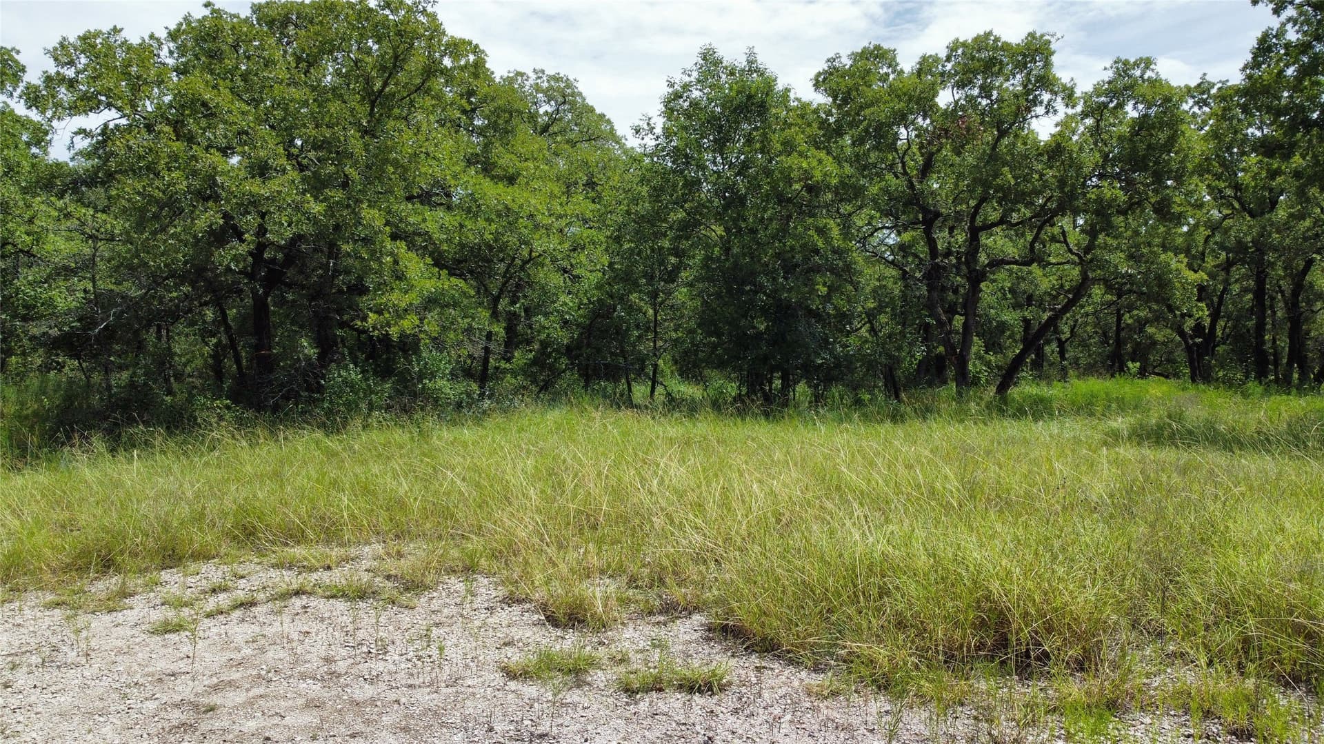 0.37 acres in Wise County gallery image 2