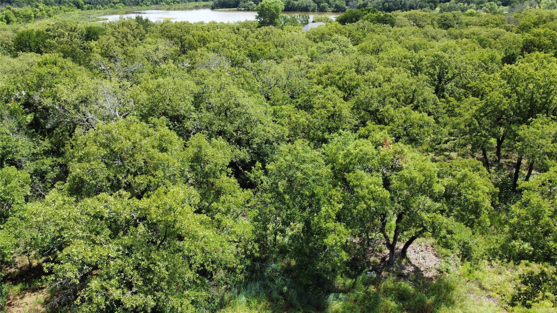 0.37 acres in Wise County - photo 7