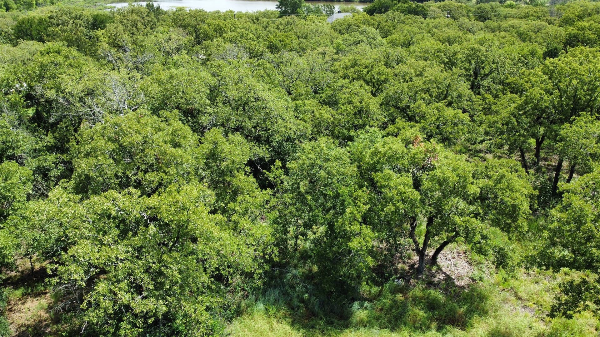 0.37 acres in Wise County - photo 8