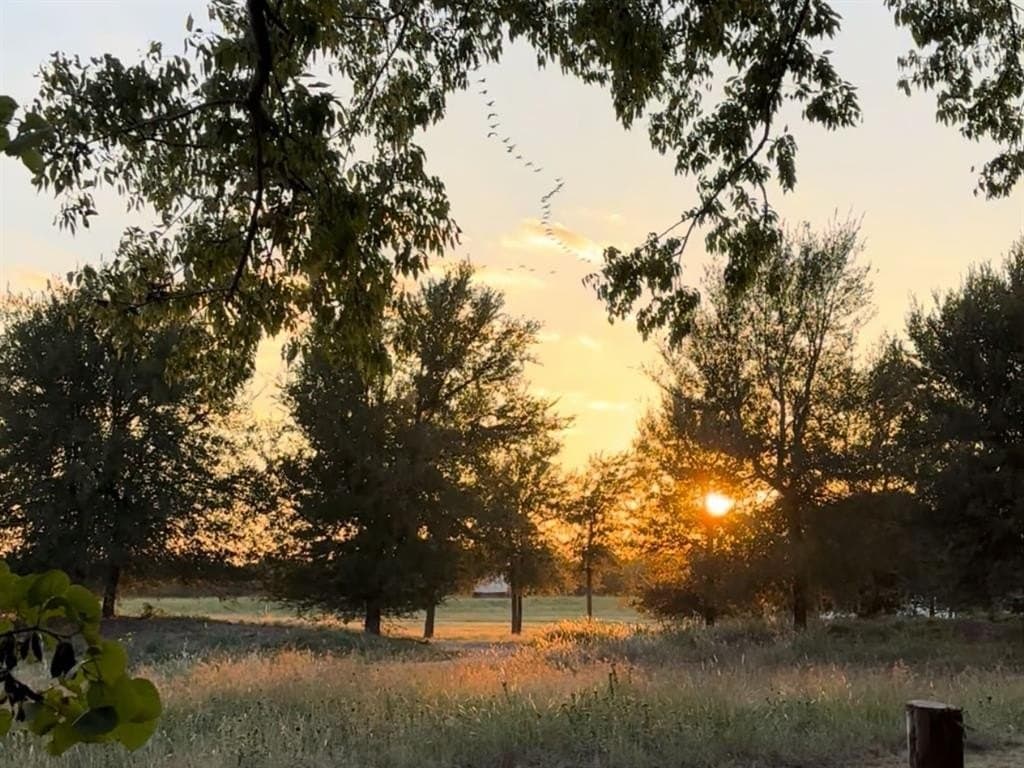 10.3 acres in Rockwall County gallery image 3