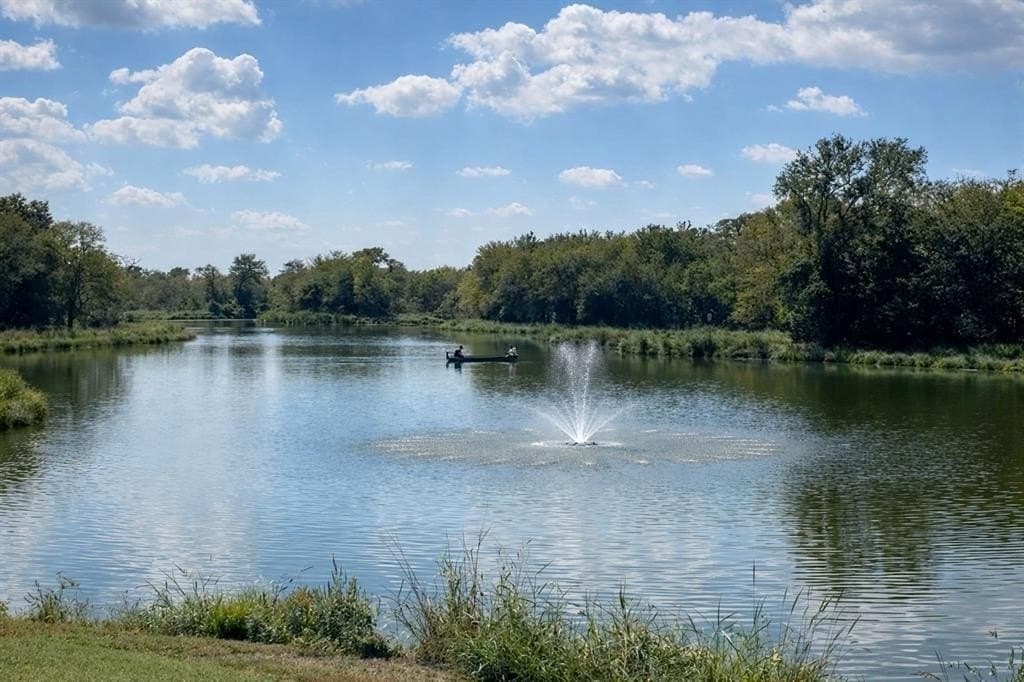 10.3 acres in Rockwall County gallery image 4