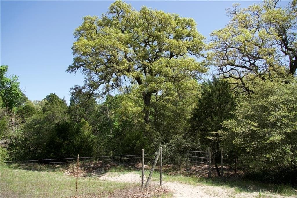 10 acres in Bastrop County featured view